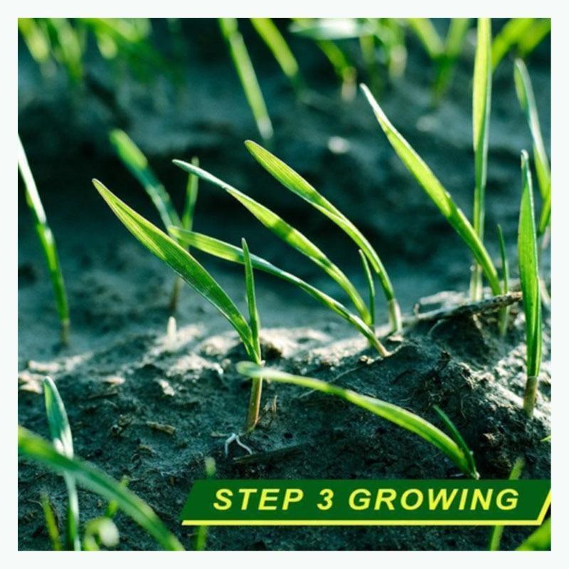 BioGrass – Tapete de grama biodegradável – Frete Grátis