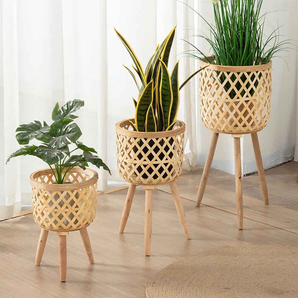 Vaso de Bambu para Plantas