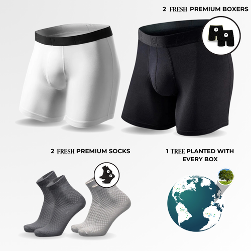 Boxhero Prime Club Subscription Tree (CHECKOUTCHAMP)