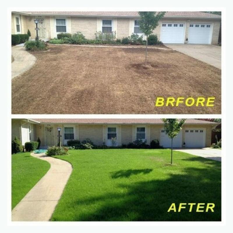 BioGrass – Tapete de grama biodegradável – Frete Grátis